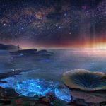 看了就会系列-三角函数-基础2-任意角的三角函数